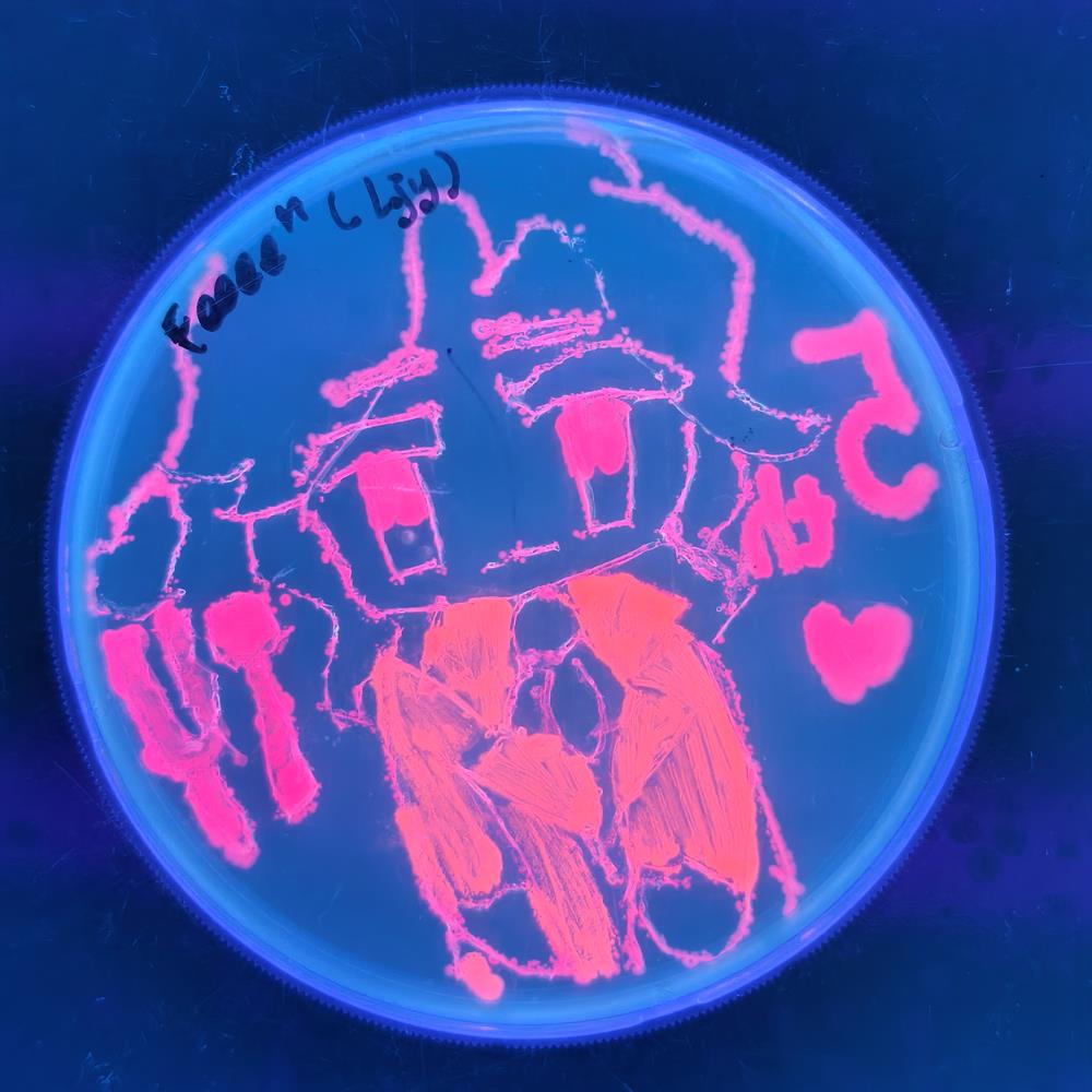 04e44a3430244d53b5810a526bc8f602.jpg 04e44a3430244d53b5810a526bc8f602.jpg